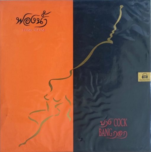 ฟองน้ำ - บางกอก