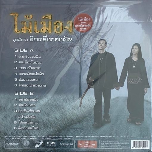 ไม้เมือง - อีกครึ่งของฝัน - Image 2