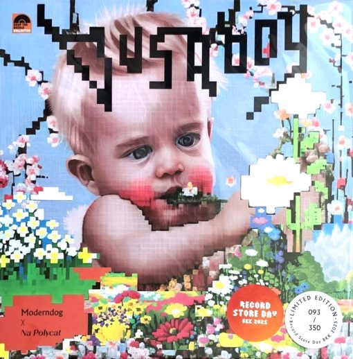Moderndog X Na Polycat - Busaboy (Color Vinyl)