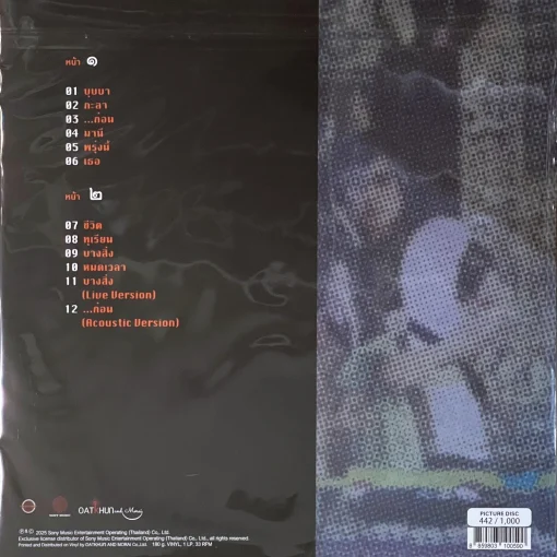 Modern Dog - เสริมสุขภาพ (Picture Disc) - Image 2