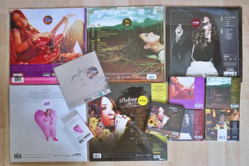 Vinyl + CD + Tape Palmy - Image 2