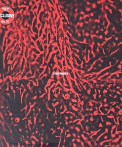 JPBS (Jia Pa Bor Sue) – Chowsex (Red Vinyl)