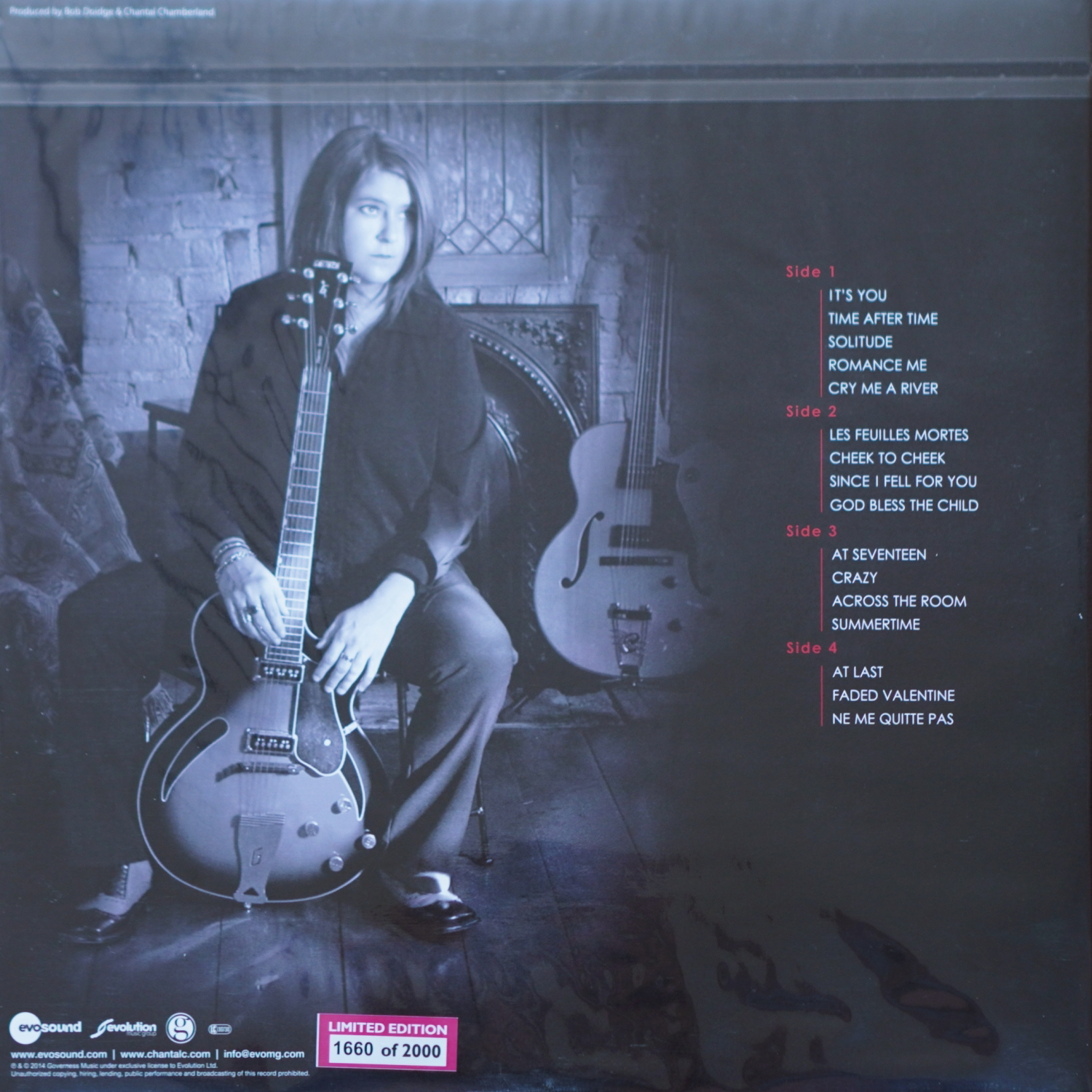 Chantal Chamberland - Serendipity Street - Image 2