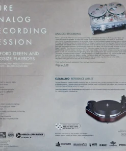 Pure Analog Recording Session – Bedford Geen And Kingsize Playboys