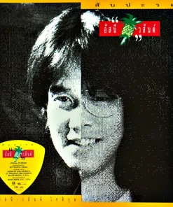 อัสนี-วสันต์ โชติกุล ชุด สับปะรด