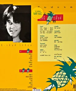 อัสนี-วสันต์ โชติกุล ชุด สับปะรด