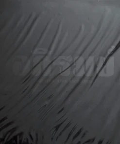 อภิรมย์ – Bootleg Live Recording