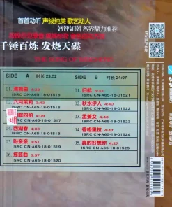 Tong Li – The Song of Weicheng