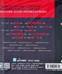 Tong Li – Bie Yi Nan