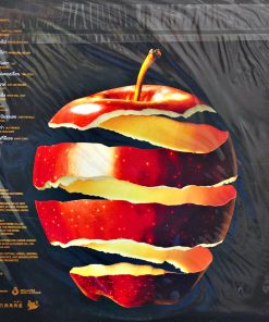 บอย โกสิยพงษ์ – Rhythm & Boyd E1EVEN1H