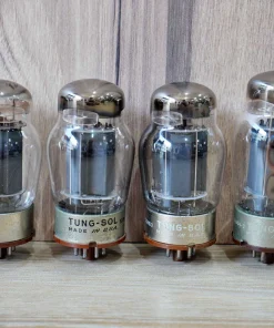 6550 Tung Sol Black Plate (Test NOS)