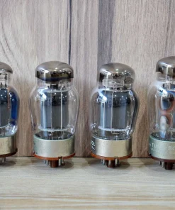 6550 Tung Sol Black Plate (Test NOS)