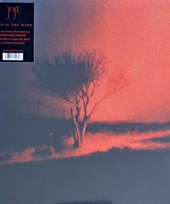 Joji – Piss In The Wind