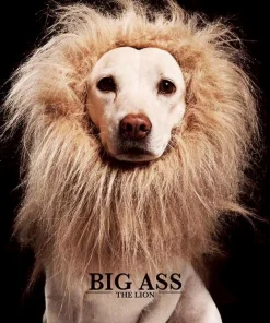 CD Big Ass – The Lion