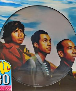 Modern Dog – แดดส่อง (Picture Disc)