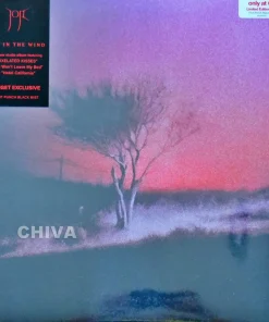 Joji – Piss In The Wind (Fruit Punch Black Mist Vinyl)