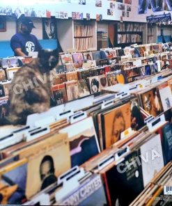 DJ Shadow – Endtroducing…..