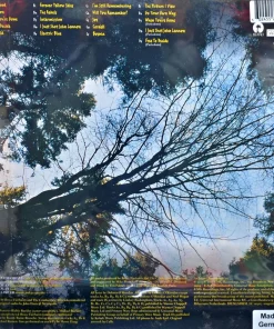 The Cranberries – To The Faithful Departed (Yellow Translucent Vinyl)