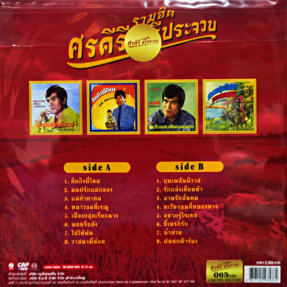 ศรคีรี ศรีประจวบ - รวมเพลงฮิต ศรคีรี (Color Vinyl) - Image 2