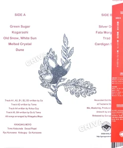Kikagaku Moyo – House In The Tall Grass